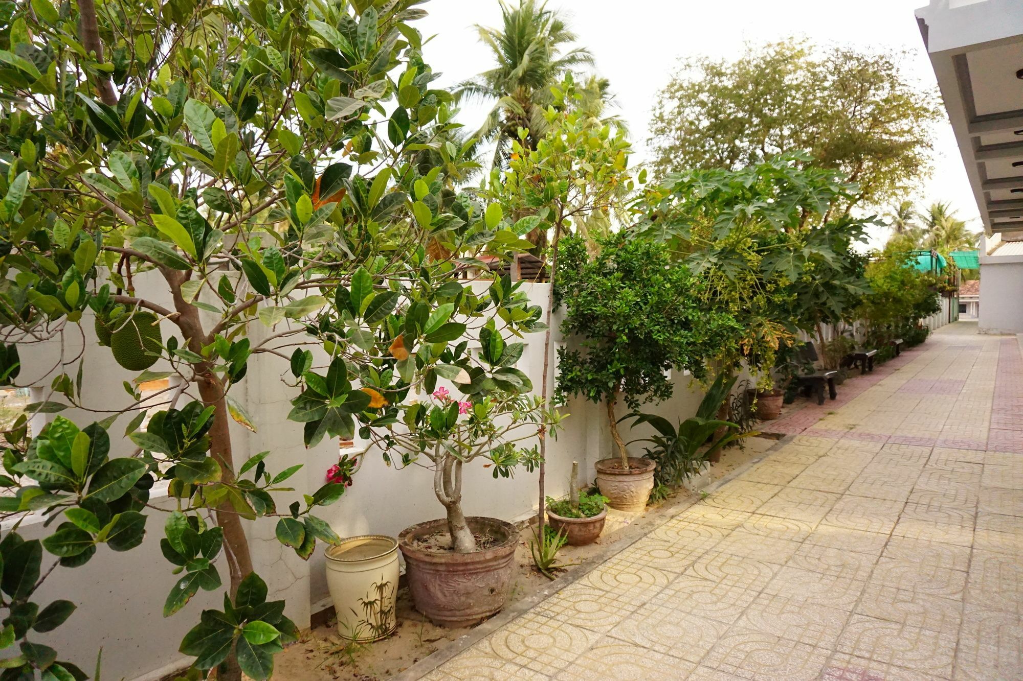 Cat Tien Guesthouse Mui Ne Exterior foto